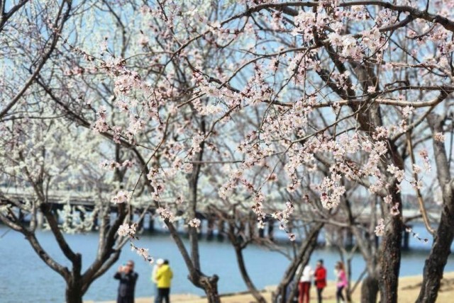 7b0924b7-9f05-4f66-ab34-f3fe1785c6f0_14.jpeg